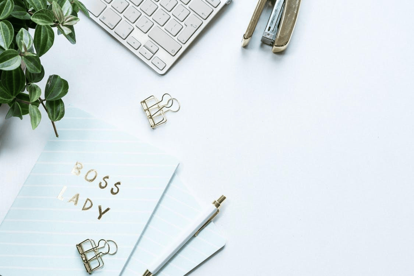 Client logos